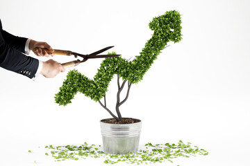 Businessman trims a plant that grows like an arrow . 3D Rendering