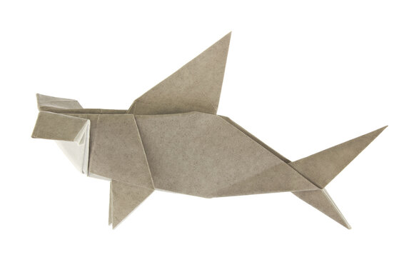 Grey hammerhead shark of origami, isolated on white background.