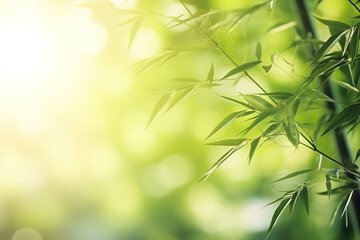 Empty space surrounded by beautiful leaves bamboo with an empty backdrop and beautiful lighting and bokeh. Green leaves frame. Illustration, Generative AI.