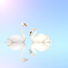 Obraz na płótnie Canvas Mute swan on blue water on sunny sky background with reflection in waves. Copy space for your text