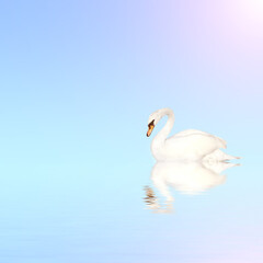 Obraz premium Mute swan on blue water on sunny sky background with reflection in waves. Copy space for your text