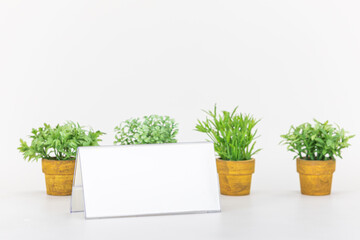 White banner mockup in front of mini potted plants with green leaves. acrylic case