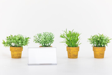 Mock-up of a white business card placed in front of a mini potted plant with green leaves. acrylic case
