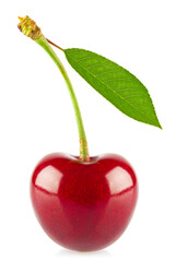 Fresh juicy cherry with green leaf, isolated on white background.