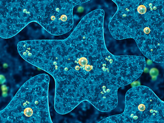 Amoebas on abstract blue background. 3d render