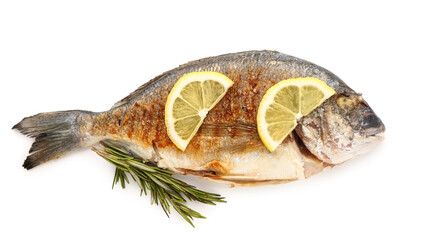 Tasty grilled dorado fish with lemon on white background