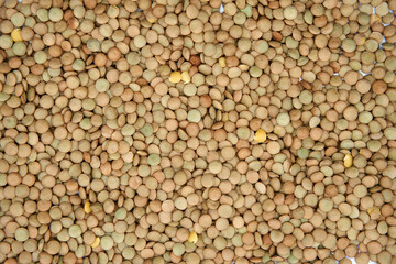 Close up of dried Healthy Green Lentils.