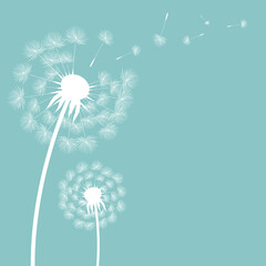 Dandelion Postcard With Gradient Mesh, Vector Illustration