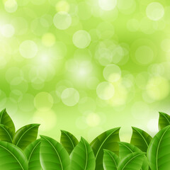 Green Banner With Leaves Gradient Mesh, Vector Illustration