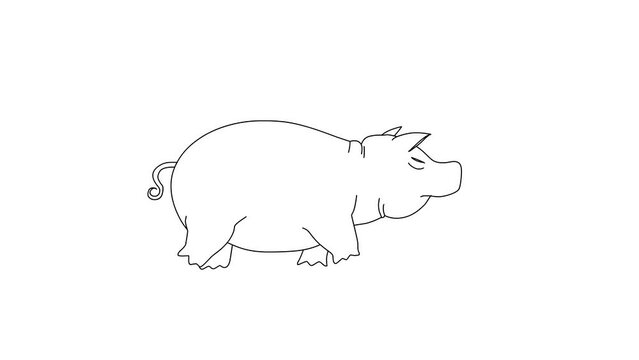 Walking Pig Cartoon On Isolated White Background