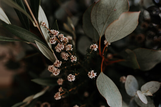 moody wedding bouquet native flowers