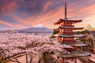 Fujiyoshida, Japan at Chureito Pagoda and Mt. Fuji in the spring with cherry blossoms.