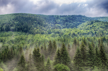 The landscape on the Carpathian Mountains in Ukraine on a summer day