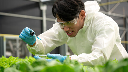 Male scientist holding petri plate and dropping solution to researching about hydroponics vegetable