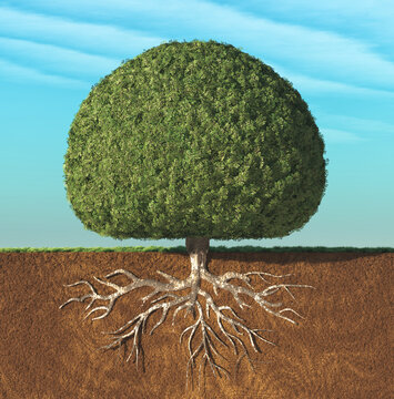 A perfect tree with green leaves in the shape of sphere with roots underground. This is a 3d render illustration
