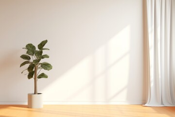 Fototapeta na wymiar Room Empty Background A Plant Mockup interior room with curtain an plant in front. clean white room minimal with copy space banner Generative AI