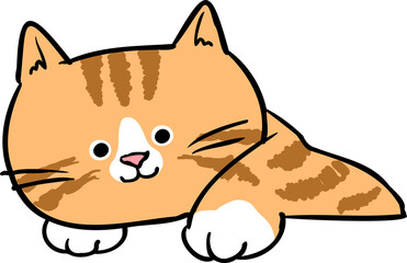 Cute Hand Drawn Cartoon Cat Head Character