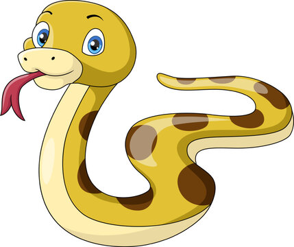 Cute snake cartoon on white background