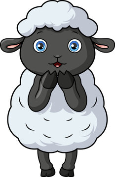 Cute baby sheep cartoon isolated on white background