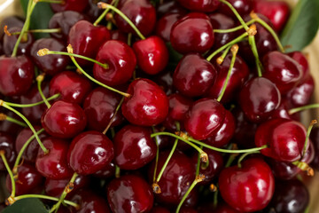 Texture of sweet cherries as background, closeup