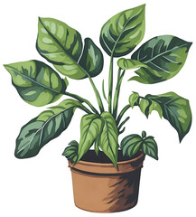 Watercolor House plant.