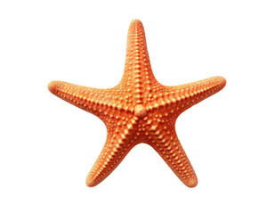 Red starfish isolated on transparent background