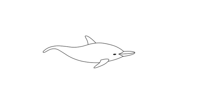Swimming Dolphin Cartoon On Isolated White Background