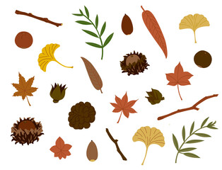 葉と木の実、枝