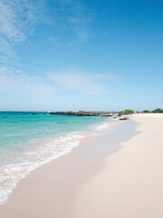 Fototapeta na wymiar Beautiful beach at the Galápagos Islands, Ecuador