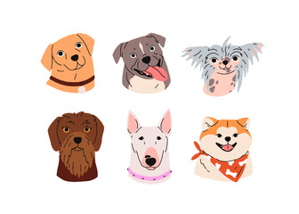 Cute dogs avatars set. Canine breeds, doggies heads portraits. Adorable muzzles, snouts of bull terrier, pudelpointer, shiba inu puppies, pups. Flat vector illustrations isolated on white background