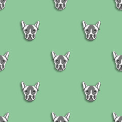 seamless pattern with the image of a dog. pastel green background. Square image.