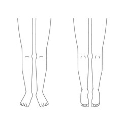 カルテ用左右の脚のイラスト｜表裏｜太ももからつま先まで