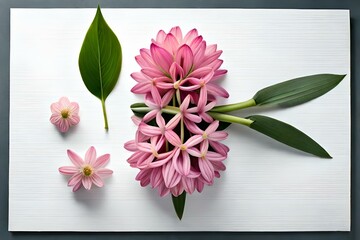 pink flowers in the center of screen look beautiful spread on the white background