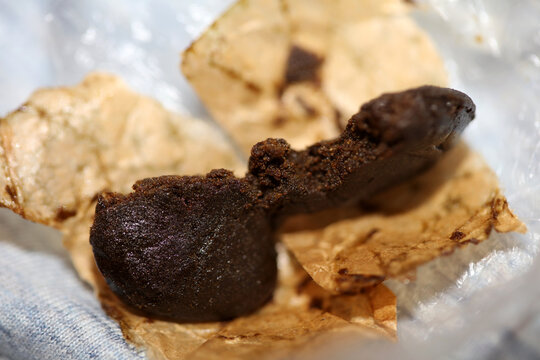 Details of medical marijuana nepalese high thc brown charas close up bio cannabis resin hashish in Nepal extraction dry hash pollen big size high quality smoking weed instant printings