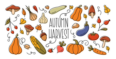 Autumn Harvest Colorful Doodle Set. Cute Cartoon Hand Drawn Vegetables and Mushrooms with Lettering. Harvest and Fall Design Elements Collection.