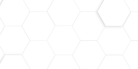 Naklejka premium Abstract white and gray hexagon technology lines with shadow background. Abstract white and grey color hexagonal geometric background with copy space. Abstract white lines background.