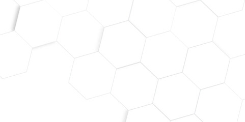 Abstract white and gray hexagon technology lines with shadow background. Abstract white and grey color hexagonal geometric background with copy space. Abstract white lines background.