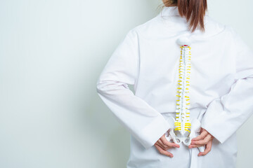 Doctor with human Spine anatomy model. Spinal Cord Disorder and disease, Back pain, Lumbar, Sacral...
