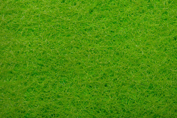 Intensywna pusta jasno zielona tapeta, utworzona z szorstkiej gąbki w zbliżeniu macro
