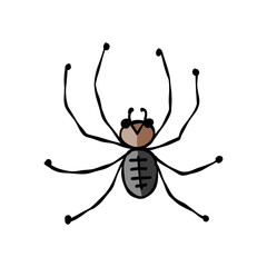 Spider icon, isolated on white. Hand drawn style.