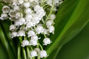 Foto op Canvas bouquet of lilies of the valley, close-up, selective focus © Lema-lisa