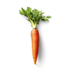 Carrot isolated on white background. Generative AI