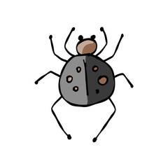 Spider icon, isolated on white. Hand drawn style.