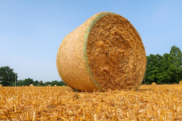 Bales hay panorama landscape sun light strong contrast Po Valley