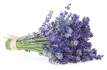 Fresh lavender bouquet isolated on a white background. Bunch of lavender flowers.