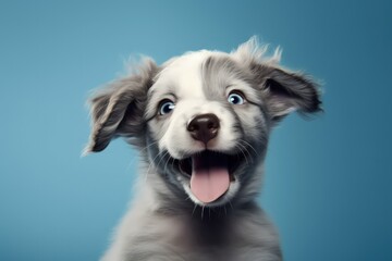 Portrait of puppy with shocked smiling face, funny face, close up photo on a colored background. Made with Generative AI