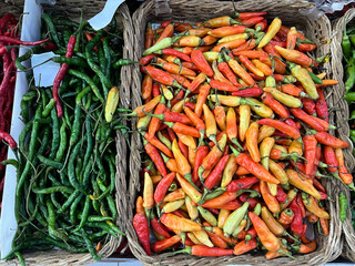 Pile of red and green chilies in the market. Red chili is an ingredient for cooking seasoning and...