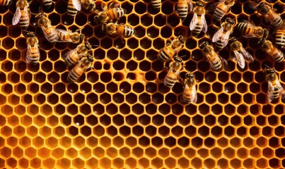 Busy bees diligently build honeycomb, a masterpiece of teamwork and precision. Creating using generative AI tools
