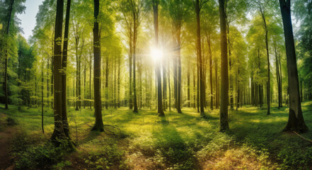 The sun's rays illuminate the forest, creating a captivating panorama. Creating using generative AI tools