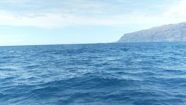 Sei whale spotted during whale excursion as wave splashes on boat